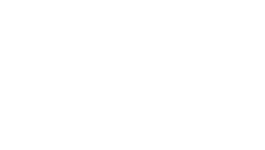 Grupo 9060